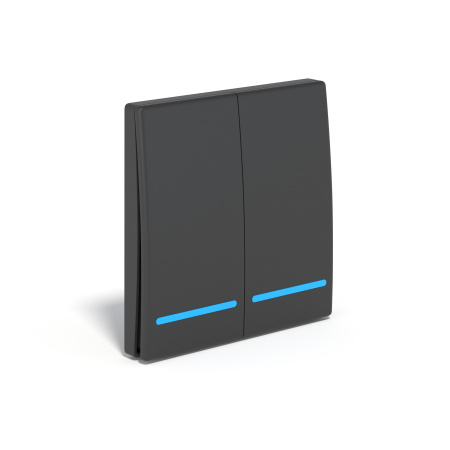 Умный беспроводной выключатель двухклавишный 433Мгц 