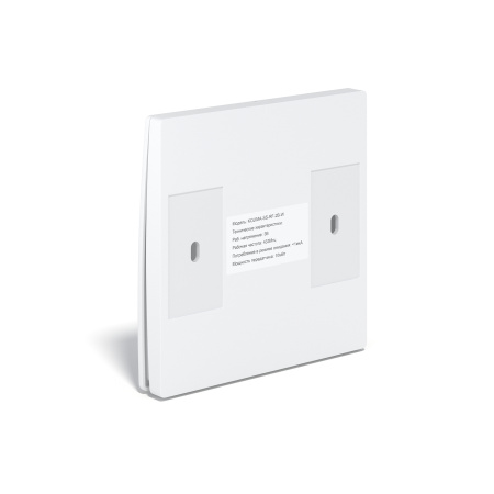 Умный беспроводной выключатель двухклавишный 433Мгц 